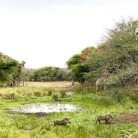 Hideaways Lazuli Bush Lodge, Hluhluwe Buitenkant foto