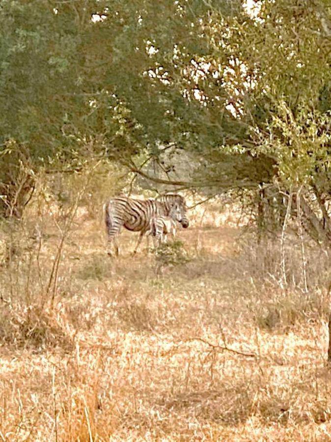 Hideaways Lazuli Bush Lodge, Hluhluwe Buitenkant foto