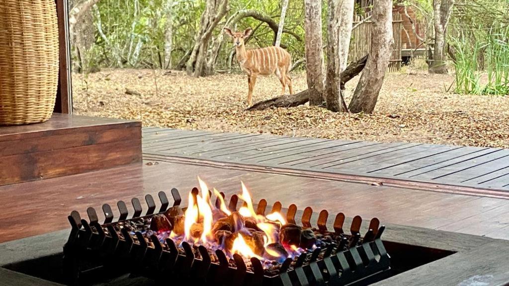 Hideaways Lazuli Bush Lodge, Hluhluwe Buitenkant foto