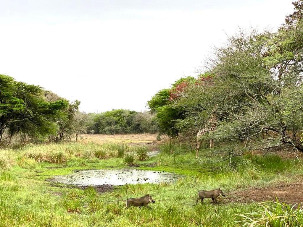 Hideaways Lazuli Bush Lodge, Hluhluwe Buitenkant foto
