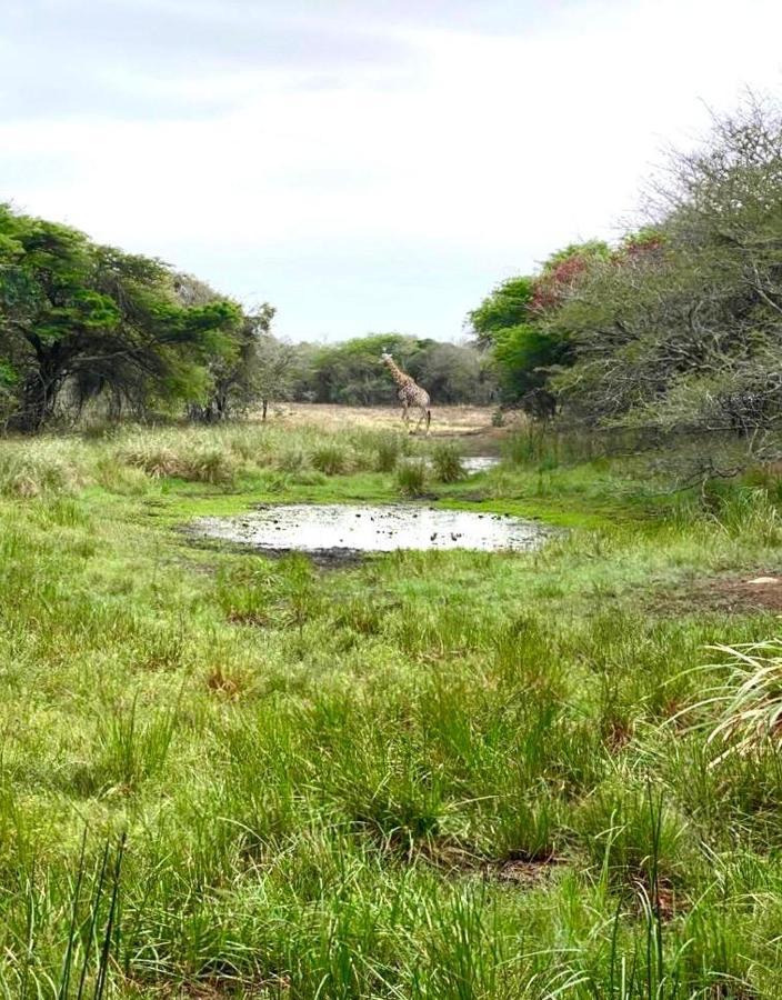Hideaways Lazuli Bush Lodge, Hluhluwe Buitenkant foto