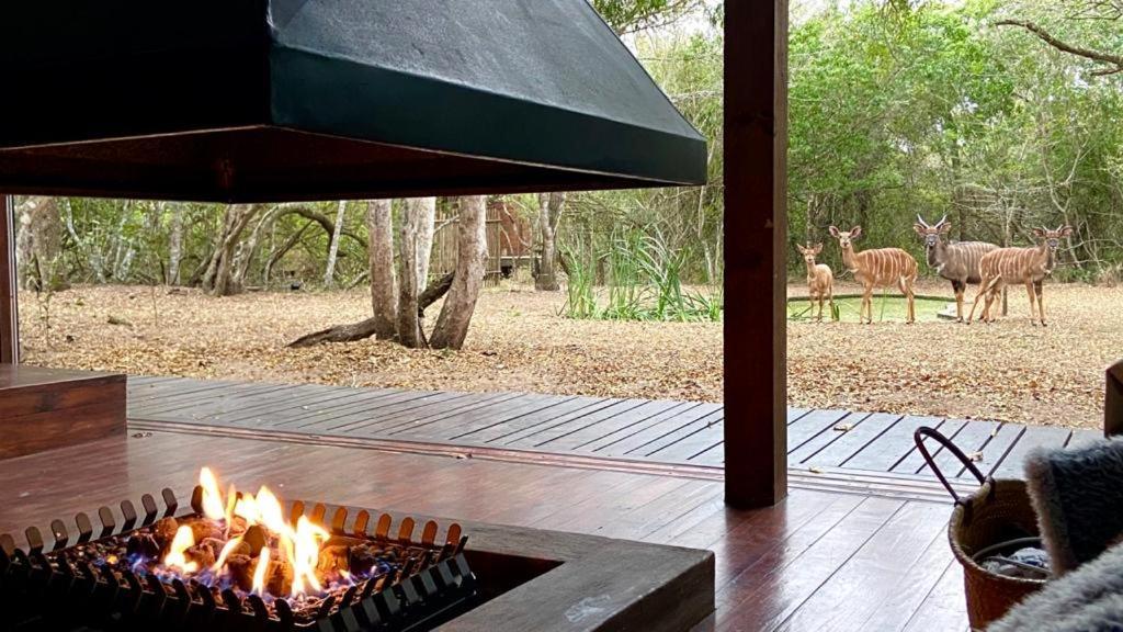 Hideaways Lazuli Bush Lodge, Hluhluwe Buitenkant foto